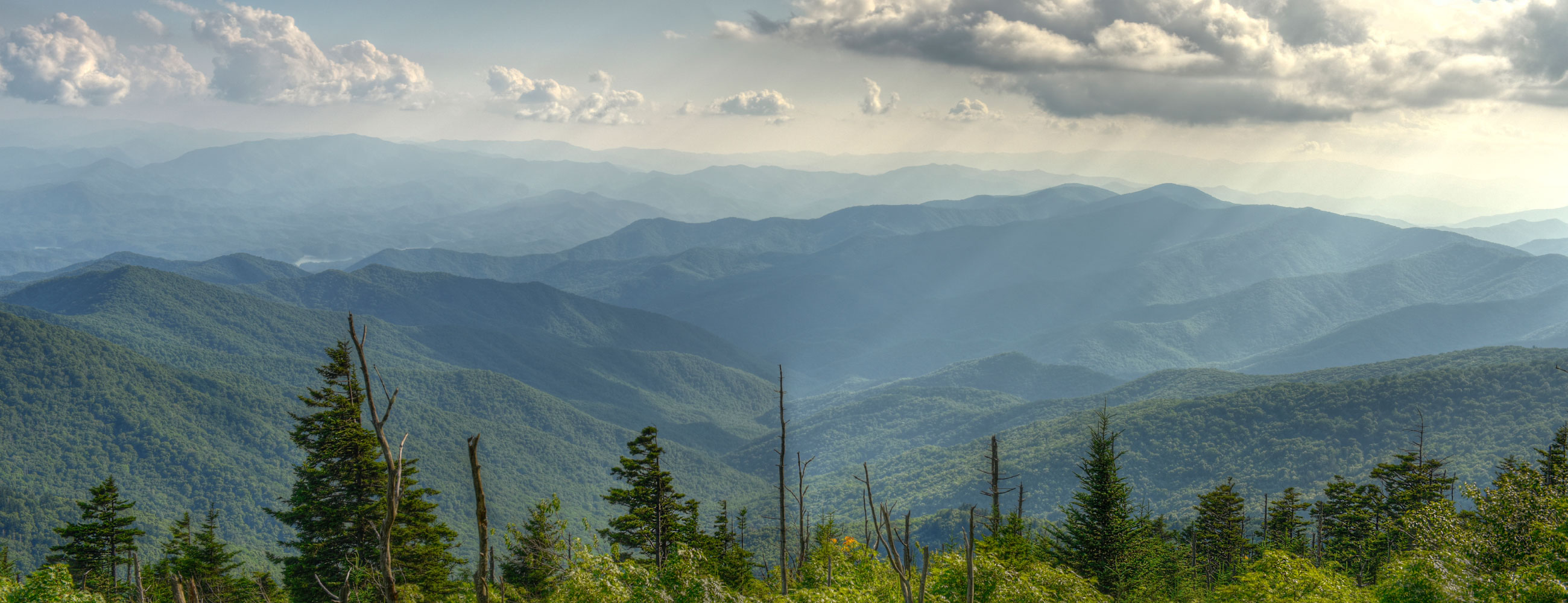 BITHIKA SHOPPING MALL