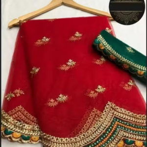 Net Saree With Blouse