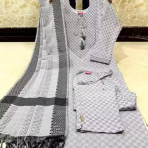 Cotton Embroidered Kurti Pant Set for Women