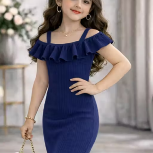 Stylish Fit & Flare Dress for Girls