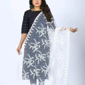 Stylish Embroidered Net Dupatta for Women
