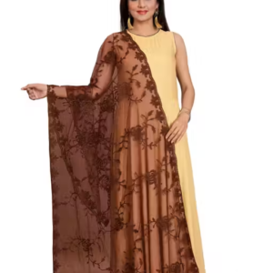 Net Dupatta for Women