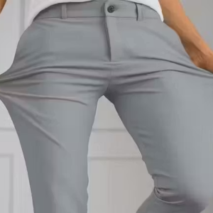 Men Regular Fit Formal Stretchable Light Gray Pant