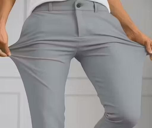 Men Regular Fit Formal Stretchable Light Gray Pant