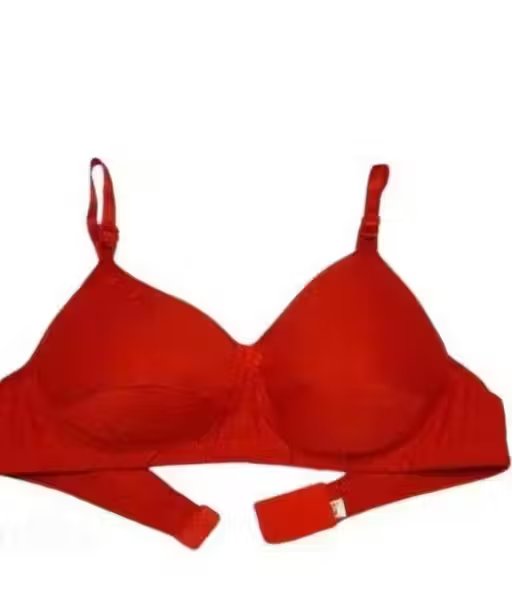 Women Hosiery Padded Non-Wired Seamless Bra (Pack of 3) - Image 3