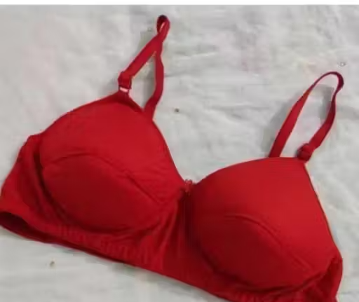 Women Hosiery Padded Non-Wired Seamless Bra (Pack of 3) - Image 4