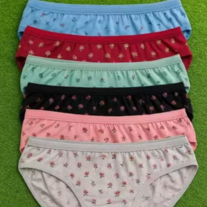 Pure Cotton Hipster Briefs Panty for Women (Pack of 6)