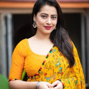 Gerogette Dhanlaxmi KALAMKARI BEST Saree