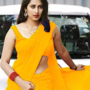 plain Georgette saree for womens