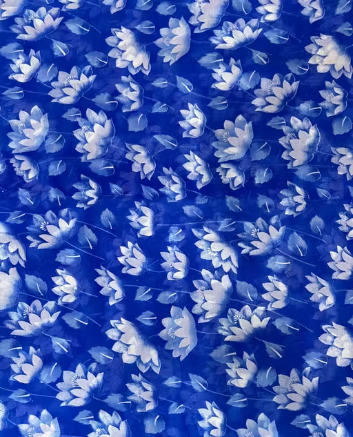 Georgette Printed Saree (With Lace) - Image 2