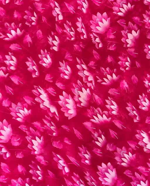 Georgette Printed Saree (With Lace) - Image 2