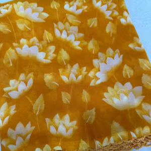 Georgette Printed Saree (With Lace)