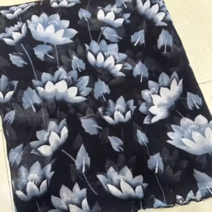 Georgette Printed Saree (With Lace)