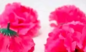 Artificial Loose Carnation Flower (Pink) -Pack of 30 Pieces