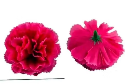 Kps Enterprises Beautiful Artificial Flowers pink Carnation Flowers for Decorating Purposes and DIY, Crafting, Home Decor, Festival, Pooja Room Decoration ,Potpourri, Flowers For Decorations On Ganpati Pooja Ganesh Chaturthi Rakshabandhan Festivals (30pcs) - Image 2