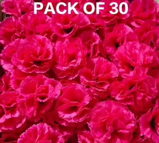Kps Enterprises Beautiful Artificial Flowers pink Carnation Flowers for Decorating Purposes and DIY, Crafting, Home Decor, Festival, Pooja Room Decoration ,Potpourri, Flowers For Decorations On Ganpati Pooja Ganesh Chaturthi Rakshabandhan Festivals (30pcs) - Image 3