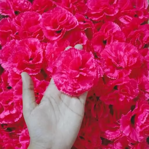 Kps Enterprises Beautiful Artificial Flowers pink Carnation Flowers for Decorating Purposes and DIY, Crafting, Home Decor, Festival, Pooja Room Decoration ,Potpourri, Flowers For Decorations On Ganpati Pooja Ganesh Chaturthi Rakshabandhan Festivals (30pcs) - Image 4
