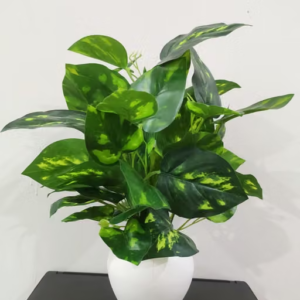 Natural looking Money Plant Tree With Pot