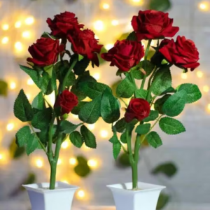 Zonezer Artificial Flower Pots/Faux Plants Plants with Pot Red Rose Pots Set of 2 Studio Plants for Home Decor, Living Room, Balcony , Artificial red rose