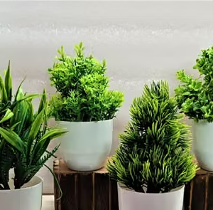 Bonsai Artificial Green Small Plant With Pot Combo Of 4 . For Home,Office decorate H~15cm ( 6 INCH )