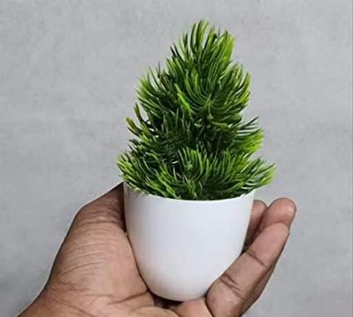 Bonsai Artificial Green Small Plant With Pot Combo Of 4 . For Home,Office decorate H~15cm ( 6 INCH ) - Image 3
