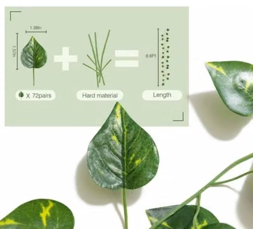 ( set of 3 ) ( 8 feet string ) 30 leaves in one string / money plant / leaves / leaf - Image 3