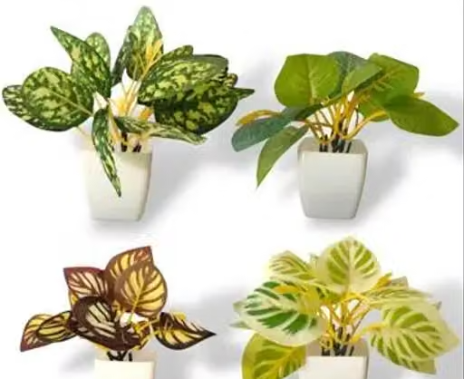 Dev creation patta pipe pot 4 pcs