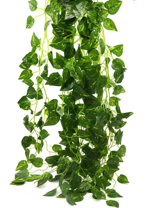 WELL ART GALLERY Artificial Plants Leaves Ivy Garlands Plant Greenery Hanging Vine Creeper Home Decor Door Wall Balcony Decoration Party Festival Craft, 80 Leaves( 6 pcs, Vine ) 7.5 FEET - Image 4