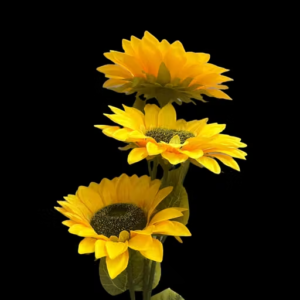 Indus Decor Artificial Sunflowers Bunch, 3 Flowers, 88 cm Tall, Enhance Your Home and Living Spaces (Long sticks)