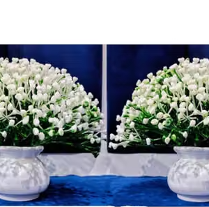 Nk traders bonsai artificial plant artificial flowers artificial decorative plant home office indoor and outdoor decoration purpose set of 02