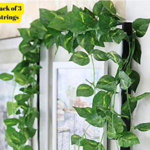 HomDecor MoneyPlant/ Ivy Vine for Home DÃ©cor (Pack of 3 strings)