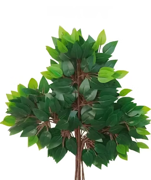 AKP Pack Of 6 Artificial Ficus Plants & 42 Leaves for Indoor Outdoor Install & Washable Perfect Product for Your Home Decor (GREEN)