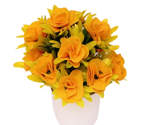 Fancy Plants - Image 2