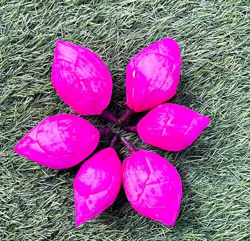 SPHINX Sola wood paper fake artificial lotus bud flowers for decorations, D-I-Y art and crafts, garland making Festive decor Pooja decor Wedding Housewarming table decorations ( Diameter approx 4 cms) - (5 Pieces)