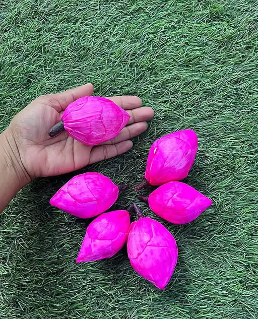 SPHINX Sola wood paper fake artificial lotus bud flowers for decorations, D-I-Y art and crafts, garland making Festive decor Pooja decor Wedding Housewarming table decorations ( Diameter approx 4 cms) - (5 Pieces) - Image 2