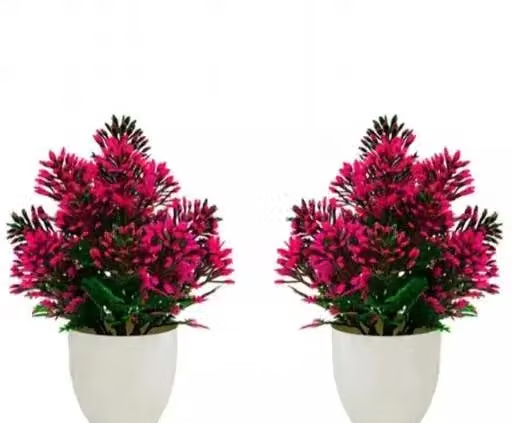 Dev creation NR Pink 2pc