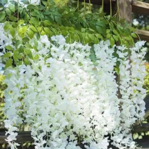 Real Pbr (Pack of 4 - white) (43.2Ft) Artificial Wisteria Vine| Ratta Fake Wisteria Hanging | Garland Silk Long Hanging Bush Flowers String for Home Party Wedding DÃ©cor