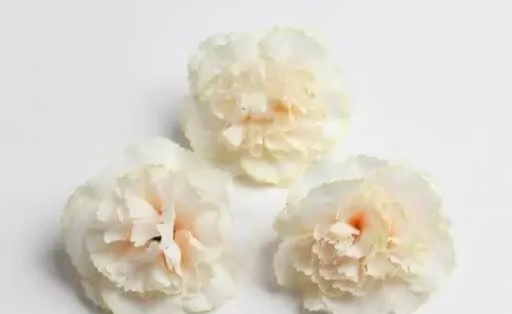 Kps Enterprises Beautiful Artificial Flowers Peach Carnation Flowers for Decorating Purposes and DIY, Crafting, Home Decor, Festival, Pooja Room Decoration ,Potpourri, Flowers For Decorations On Ganpati Pooja Ganesh Chaturthi Rakshabandhan Festivals (30pcs) - Image 2