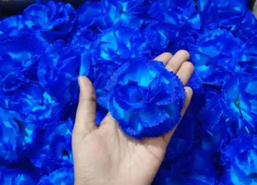 Kps Enterprises Beautiful Artificial Flowers Blue Carnation Flowers for Decorating Purposes and DIY, Crafting, Home Decor, Festival, Pooja Room Decoration ,Potpourri, Flowers For Decorations On Ganpati Pooja Ganesh Chaturthi Rakshabandhan Festivals (30pcs)