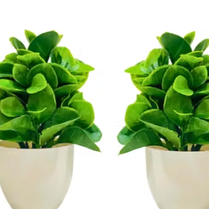 #CLASSY BONSAI Artificial Plant & POT | Plant Specially Decor For Bed Room Decorationet Bonsai Wild Artificial Plant with Pot | DECORE YOUR HOME & OFFICES |