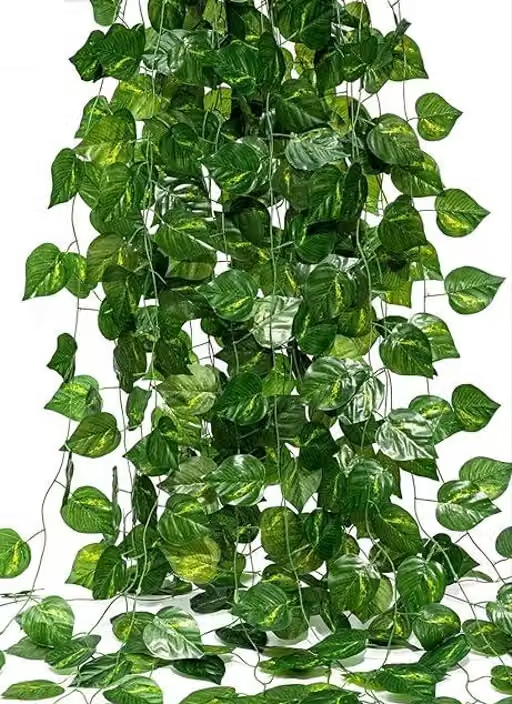Daissy Raise Artificial Greenery Vines - Pack of 12 Money Plant Decorative Hanging Leaf Garlands for Home, Garden, and Wall Decor | Wall Decor Greenery | Fake Ivy Vines | Artificial Leaf Strings | Indoor Plant Decoration | Party Backdrop Leaves | Green Vines for Events | Hanging Ivy Decor - Image 2