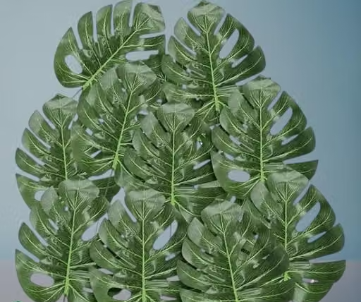 Plastic 10 Pcs Artificial Monstera Plant Leaves Flowers For Home Decor Living Room Vase Office Balcony Table Birthday Anniversary Wedding Decoration Items (35.56 X 17.78 Cm,