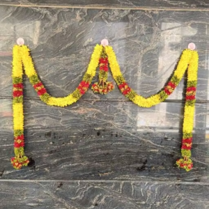 Beautiful and colour Door Toran