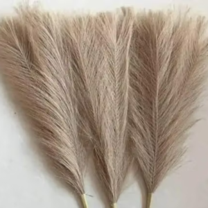 TS ARTS & CRAFT 3 Pcs Artificial Faux pampass Fluffy Flowers Fake Flower for Home, Christmas, Wedding Decoration, Office, Bedroom, Balcony, Living Room, Table Decoration, Plants and Craft Items Corner (Brown) (Without Vase Pot)