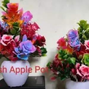 Dev Creation Mix rose the apple pot 2pcs