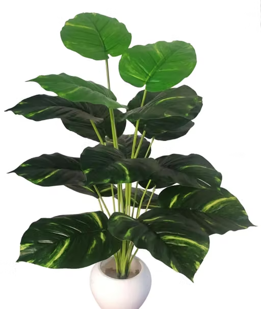 BAARIG Natural Looking Money Plant Tree with 18 Long Leaves without Pot Artificial Plant (70 cm, Multicolour) - Image 2