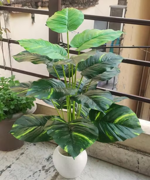 BAARIG Natural Looking Money Plant Tree with 18 Long Leaves without Pot Artificial Plant (70 cm, Multicolour) - Image 3