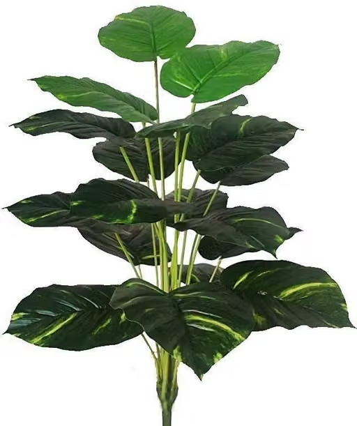 BAARIG Natural Looking Money Plant Tree with 18 Long Leaves without Pot Artificial Plant (70 cm, Multicolour) - Image 4