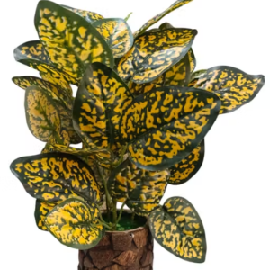 BAARIG Natural Looking Money Plant Artificial Plant with Stylish Coconut Pot (Yellow-Green)