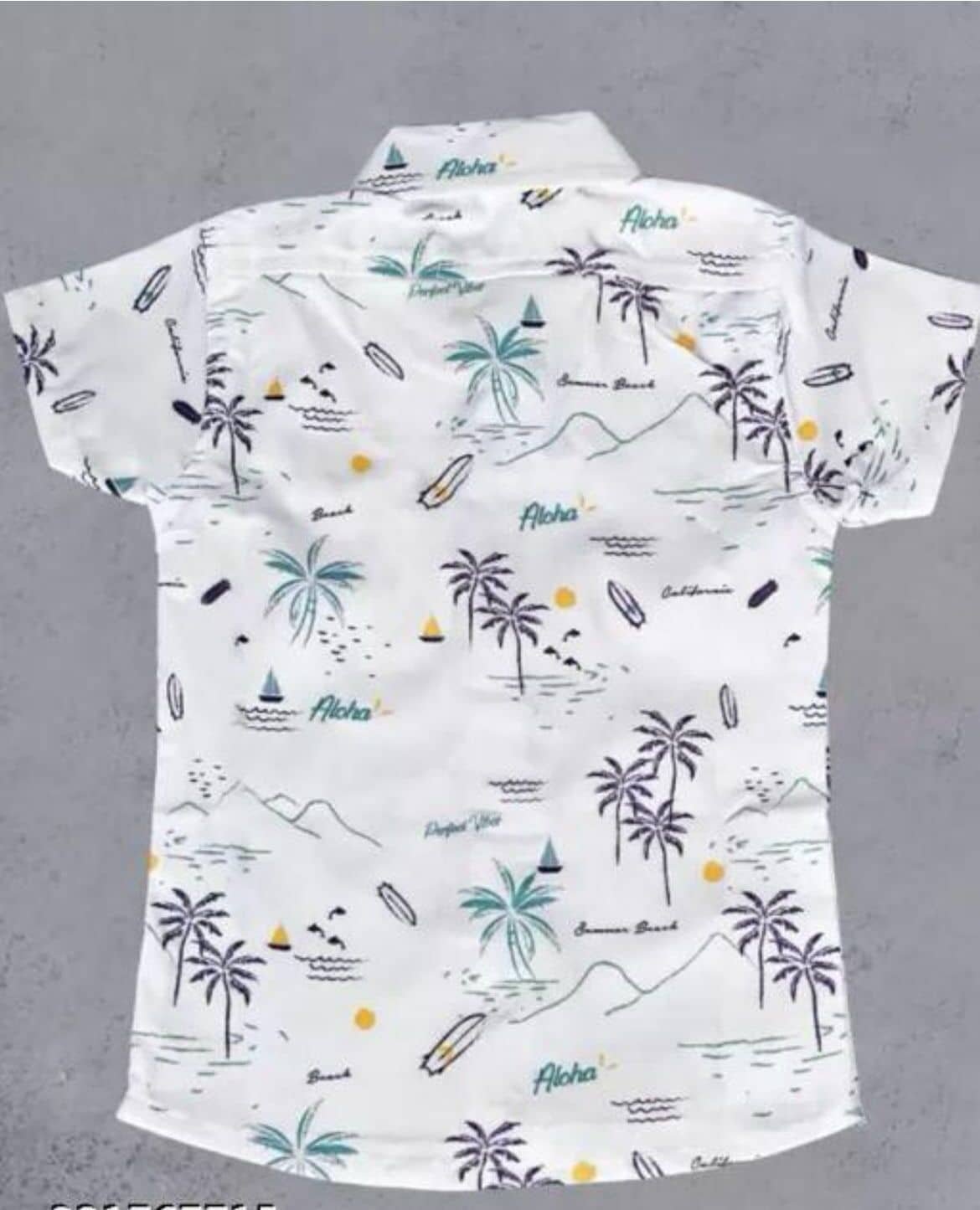 Pack of 1 Boys Cotton Blend Half Sleeves Shirt ( White ) - Image 2